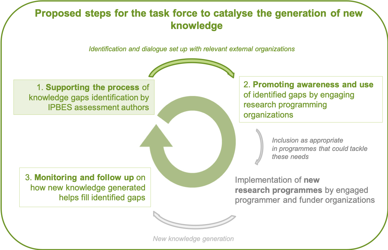 Proposed steps for the task force to catalyse the generation of new knowledge