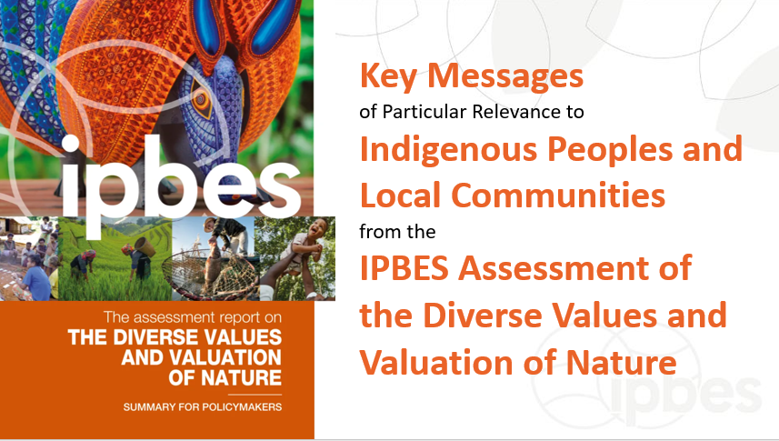 Cover of Values ILK messages