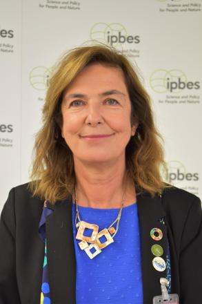 Prof. Isabel Sousa Pinto