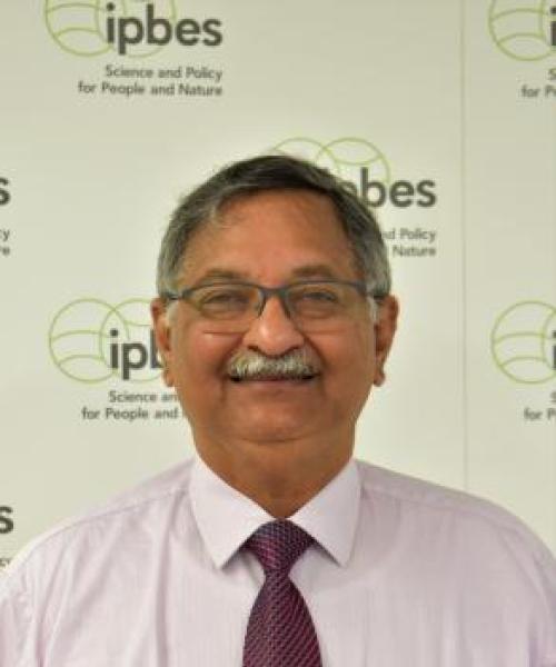 Dr. Vinod  Mathur