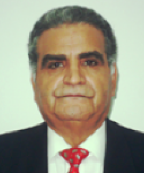 Prof. Moustafa  Fouda